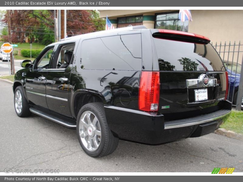 Black Ice / Ebony 2010 Cadillac Escalade ESV Luxury AWD