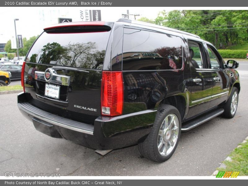 Black Ice / Ebony 2010 Cadillac Escalade ESV Luxury AWD