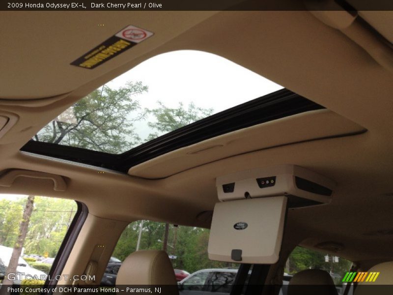 Dark Cherry Pearl / Olive 2009 Honda Odyssey EX-L
