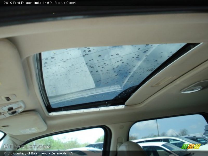 Black / Camel 2010 Ford Escape Limited 4WD