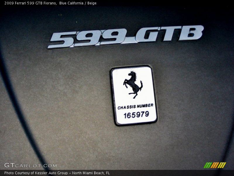 Info Tag of 2009 599 GTB Fiorano 
