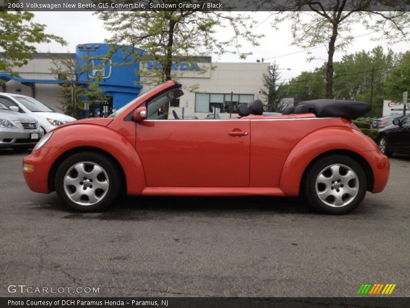 Sundown Orange / Black 2003 Volkswagen New Beetle GLS Convertible
