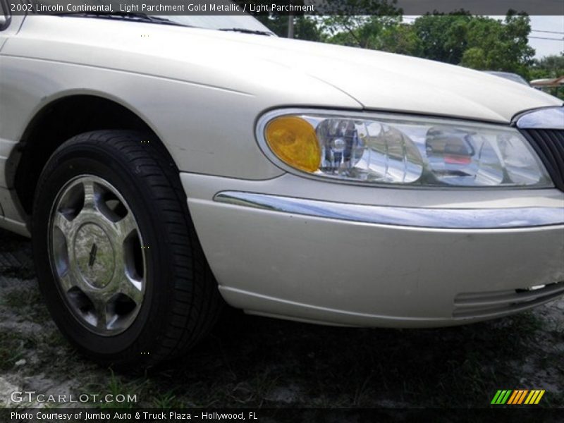 Light Parchment Gold Metallic / Light Parchment 2002 Lincoln Continental