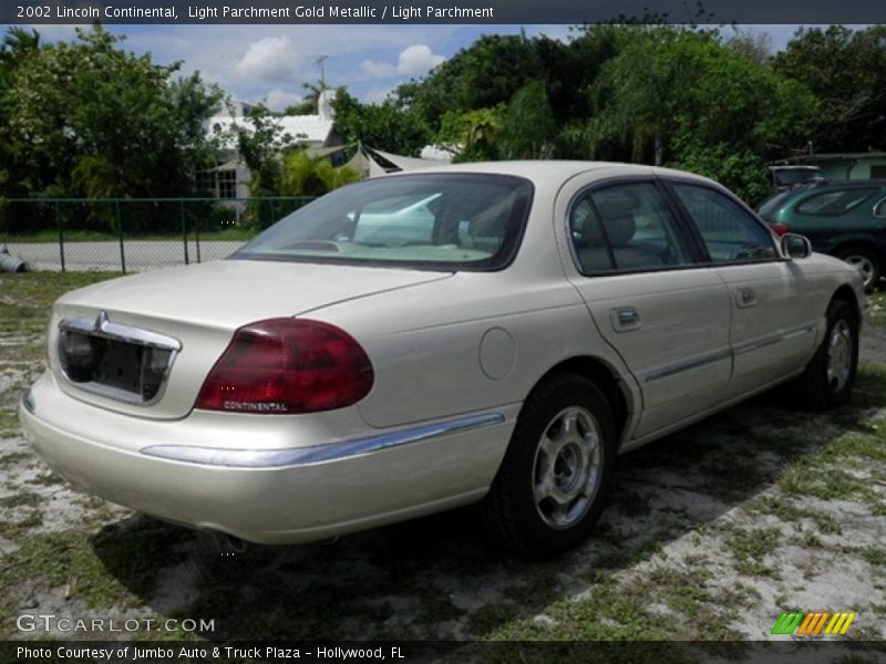 Light Parchment Gold Metallic / Light Parchment 2002 Lincoln Continental