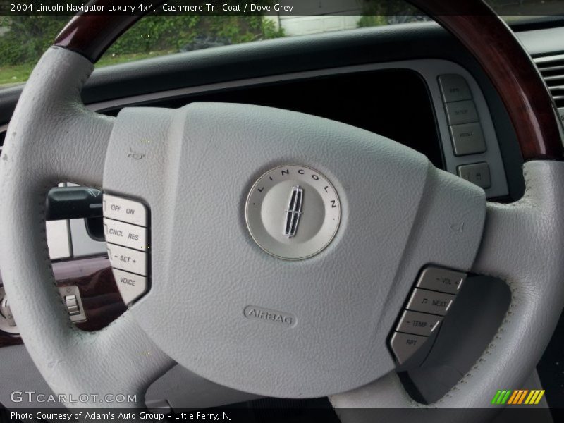 Cashmere Tri-Coat / Dove Grey 2004 Lincoln Navigator Luxury 4x4