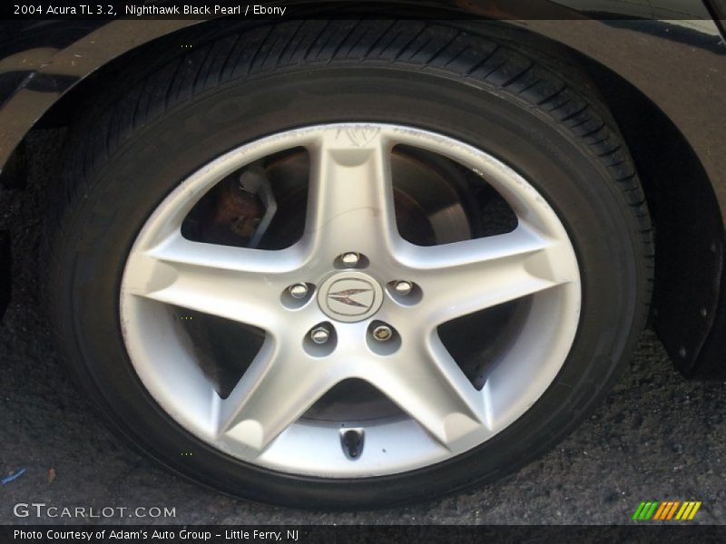 Nighthawk Black Pearl / Ebony 2004 Acura TL 3.2
