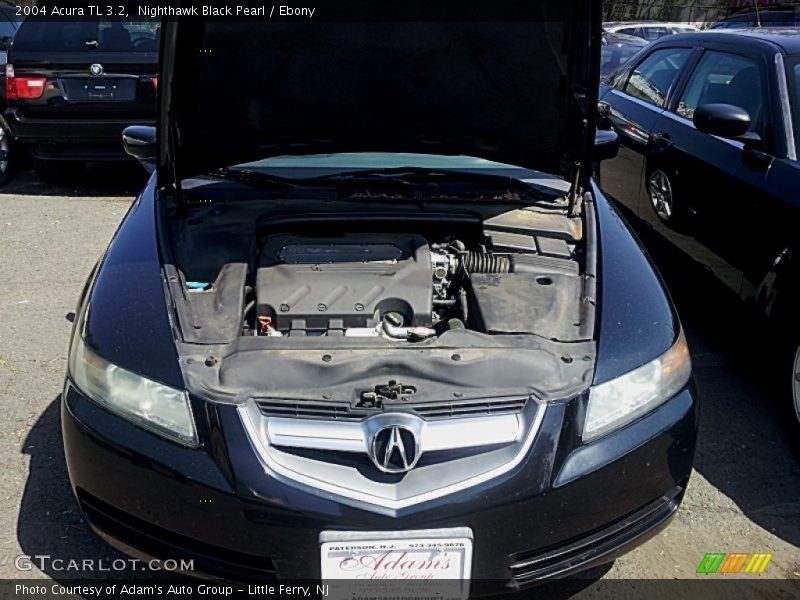 Nighthawk Black Pearl / Ebony 2004 Acura TL 3.2