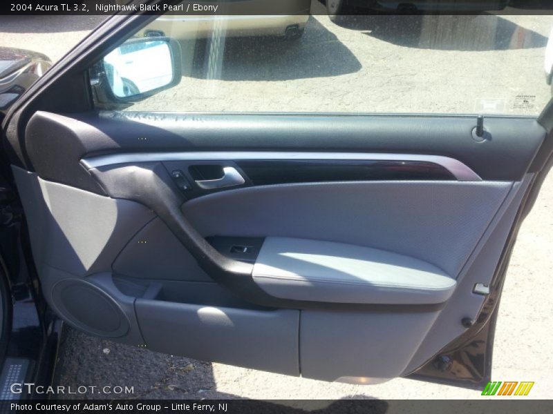 Nighthawk Black Pearl / Ebony 2004 Acura TL 3.2