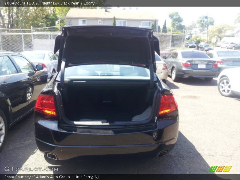 Nighthawk Black Pearl / Ebony 2004 Acura TL 3.2