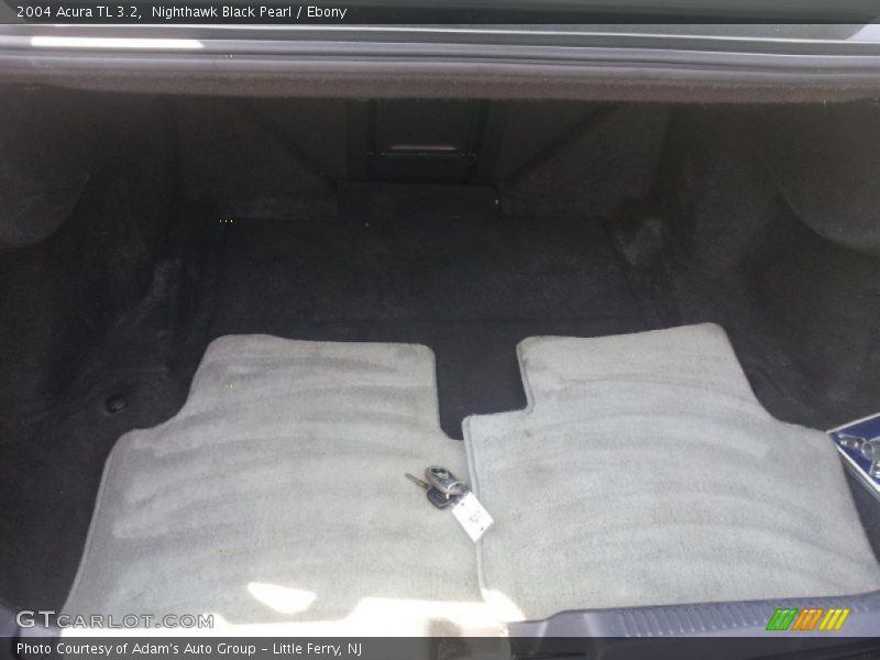 Nighthawk Black Pearl / Ebony 2004 Acura TL 3.2