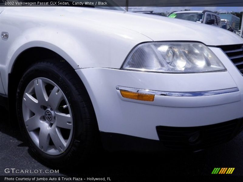 Candy White / Black 2002 Volkswagen Passat GLX Sedan