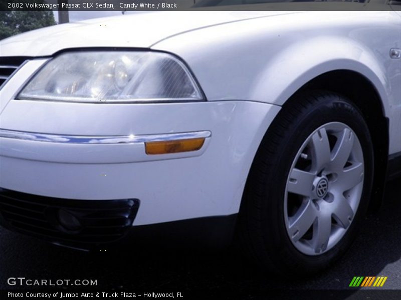 Candy White / Black 2002 Volkswagen Passat GLX Sedan