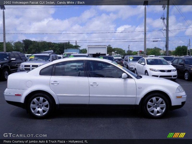 Candy White / Black 2002 Volkswagen Passat GLX Sedan