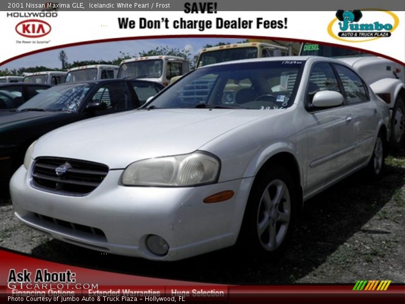 Icelandic White Pearl / Frost 2001 Nissan Maxima GLE
