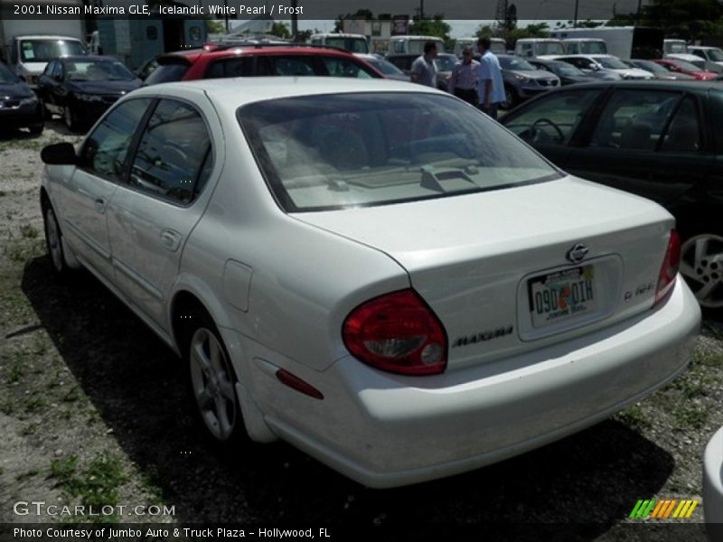 Icelandic White Pearl / Frost 2001 Nissan Maxima GLE