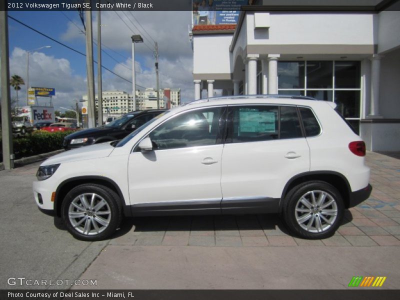 Candy White / Black 2012 Volkswagen Tiguan SE