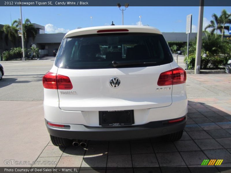 Candy White / Black 2012 Volkswagen Tiguan SE