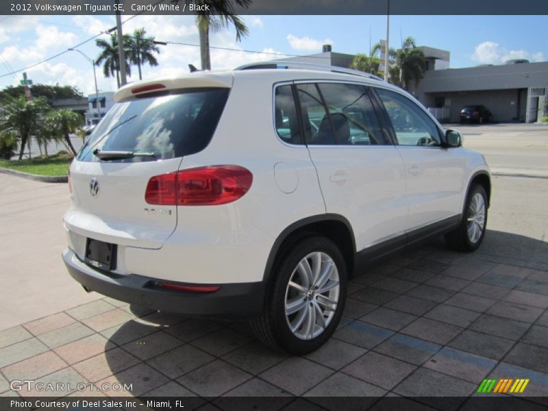 Candy White / Black 2012 Volkswagen Tiguan SE