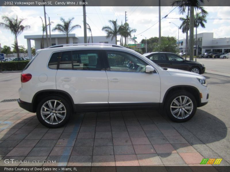 Candy White / Black 2012 Volkswagen Tiguan SE