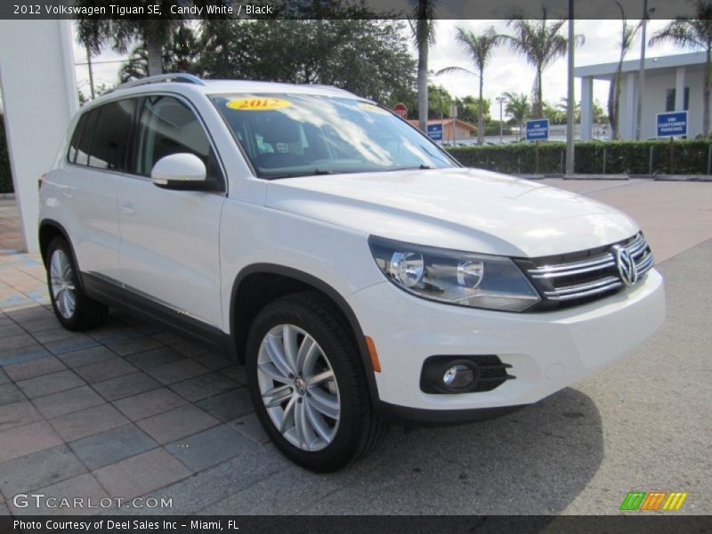 Candy White / Black 2012 Volkswagen Tiguan SE