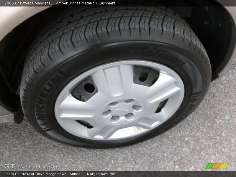 Amber Bronze Metallic / Cashmere 2006 Chevrolet Uplander LS