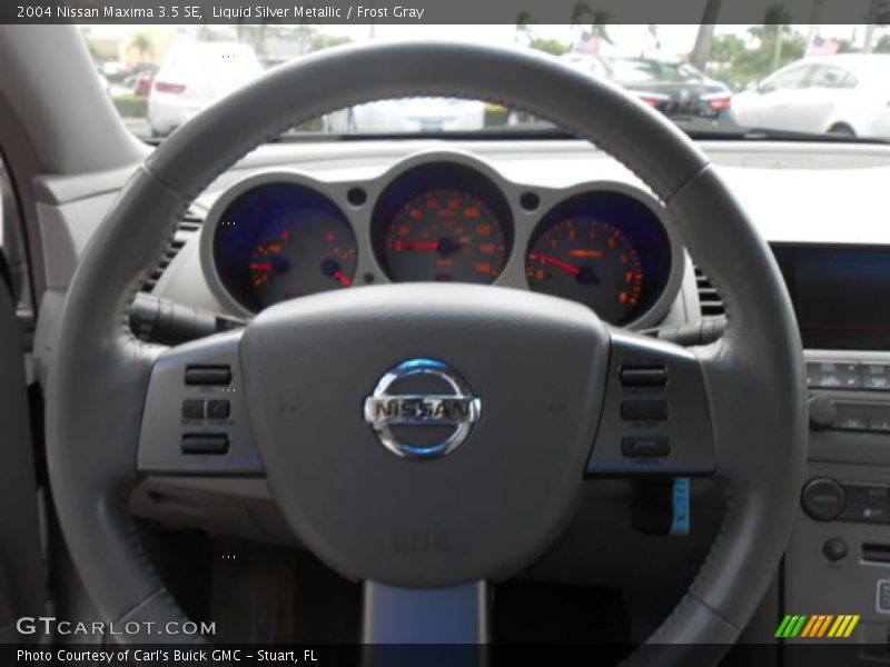 Liquid Silver Metallic / Frost Gray 2004 Nissan Maxima 3.5 SE