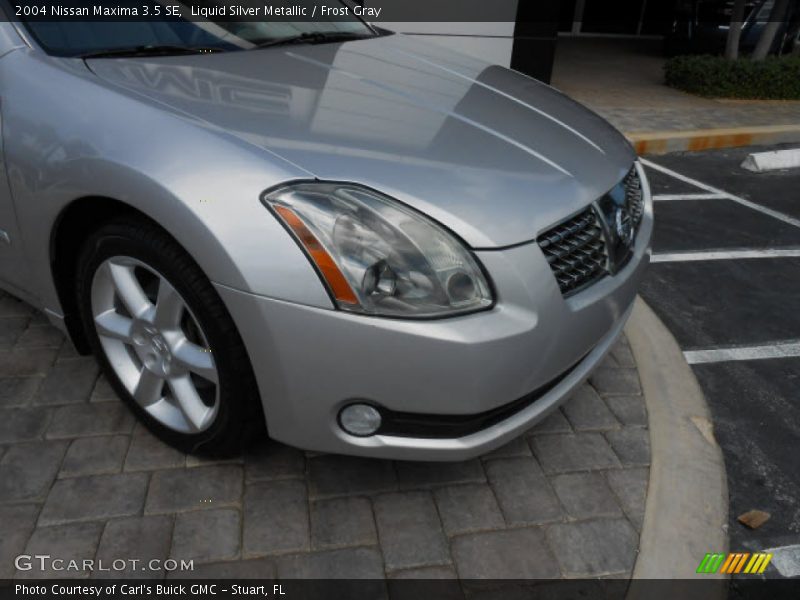 Liquid Silver Metallic / Frost Gray 2004 Nissan Maxima 3.5 SE