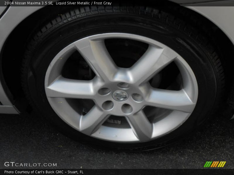 Liquid Silver Metallic / Frost Gray 2004 Nissan Maxima 3.5 SE