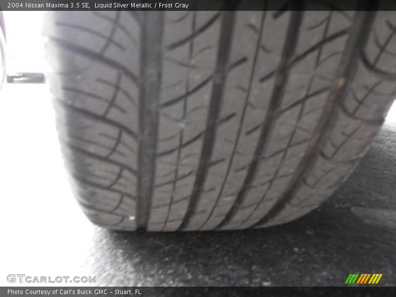 Liquid Silver Metallic / Frost Gray 2004 Nissan Maxima 3.5 SE