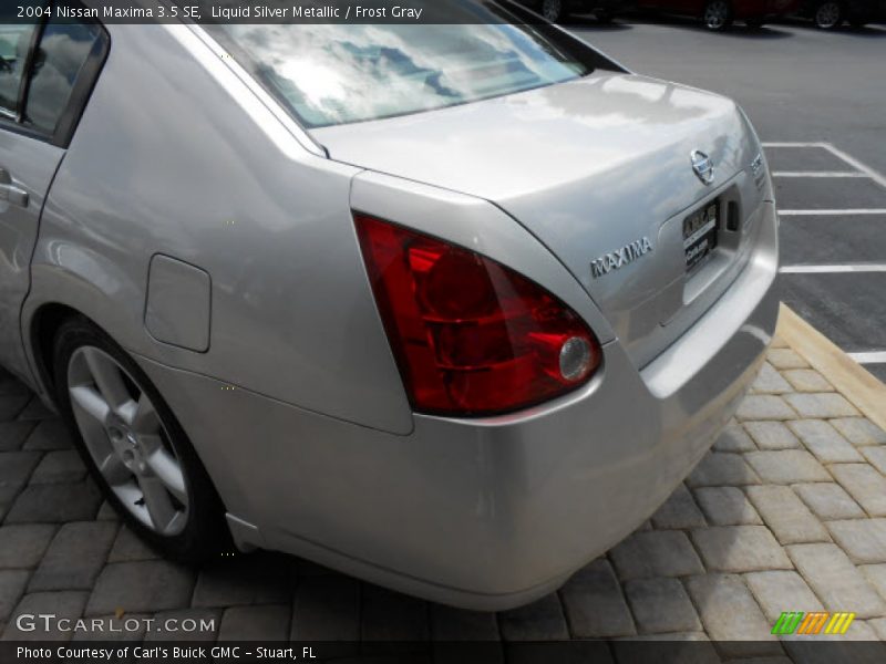 Liquid Silver Metallic / Frost Gray 2004 Nissan Maxima 3.5 SE
