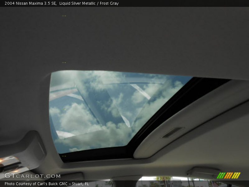 Liquid Silver Metallic / Frost Gray 2004 Nissan Maxima 3.5 SE