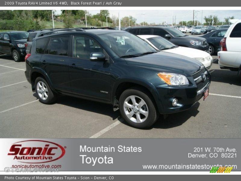 Black Forest Pearl / Ash Gray 2009 Toyota RAV4 Limited V6 4WD