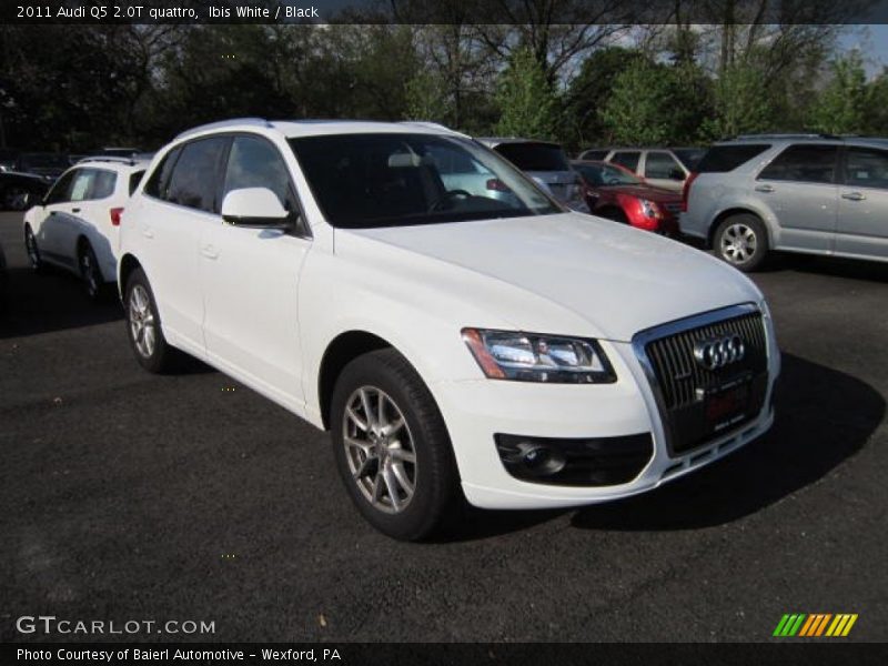 Ibis White / Black 2011 Audi Q5 2.0T quattro