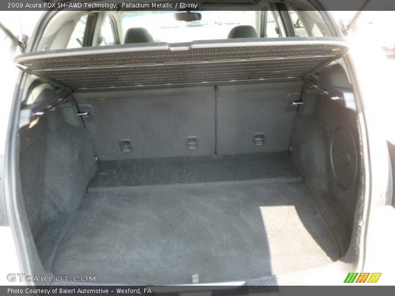 Palladium Metallic / Ebony 2009 Acura RDX SH-AWD Technology