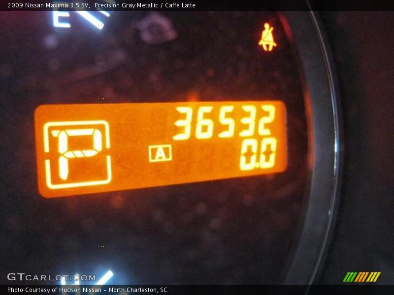 Precision Gray Metallic / Caffe Latte 2009 Nissan Maxima 3.5 SV
