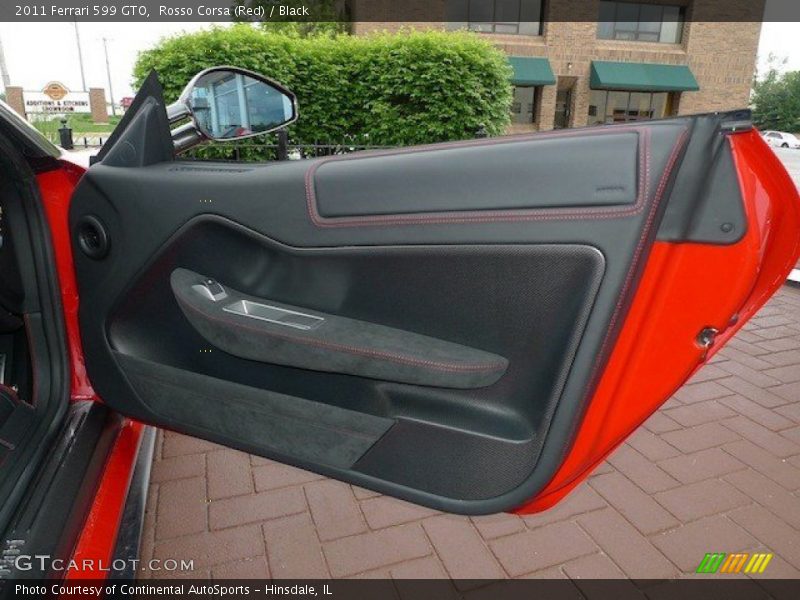 Door Panel of 2011 599 GTO