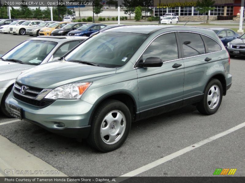 Opal Sage Metallic / Gray 2010 Honda CR-V LX