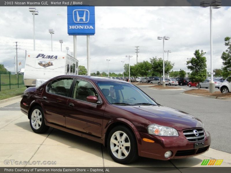 Merlot Red / Blond 2003 Nissan Maxima GLE
