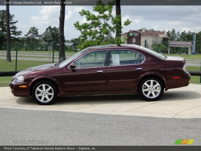 Merlot Red / Blond 2003 Nissan Maxima GLE