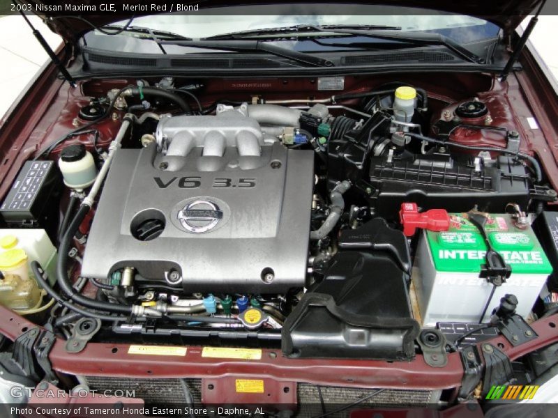 Merlot Red / Blond 2003 Nissan Maxima GLE