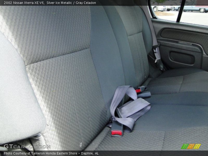 Silver Ice Metallic / Gray Celadon 2002 Nissan Xterra XE V6