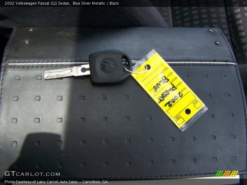 Blue Silver Metallic / Black 2002 Volkswagen Passat GLS Sedan