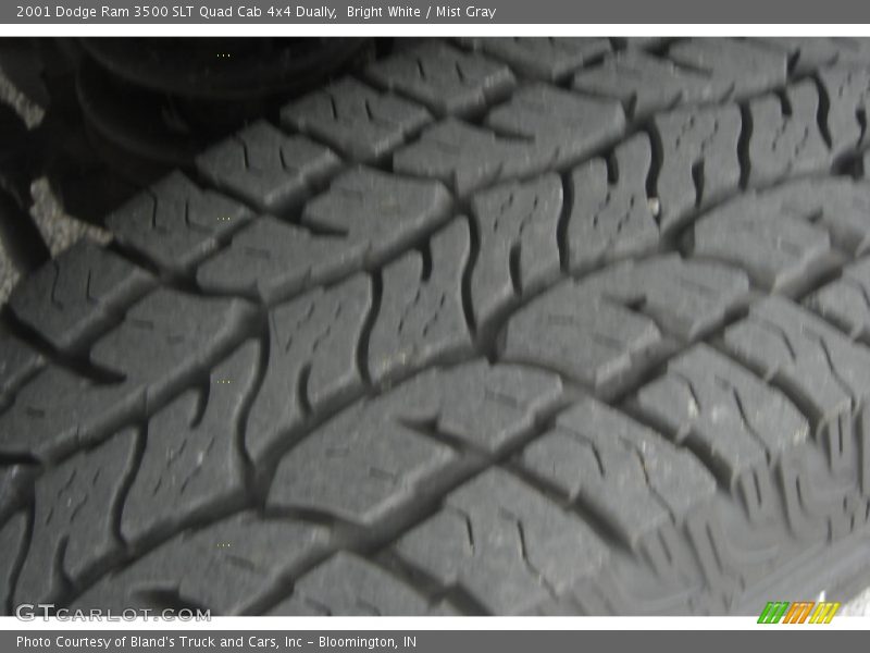 Bright White / Mist Gray 2001 Dodge Ram 3500 SLT Quad Cab 4x4 Dually