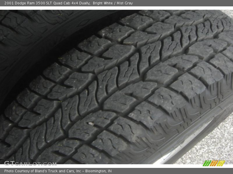 Bright White / Mist Gray 2001 Dodge Ram 3500 SLT Quad Cab 4x4 Dually