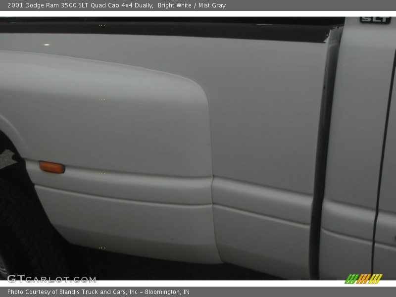 Bright White / Mist Gray 2001 Dodge Ram 3500 SLT Quad Cab 4x4 Dually