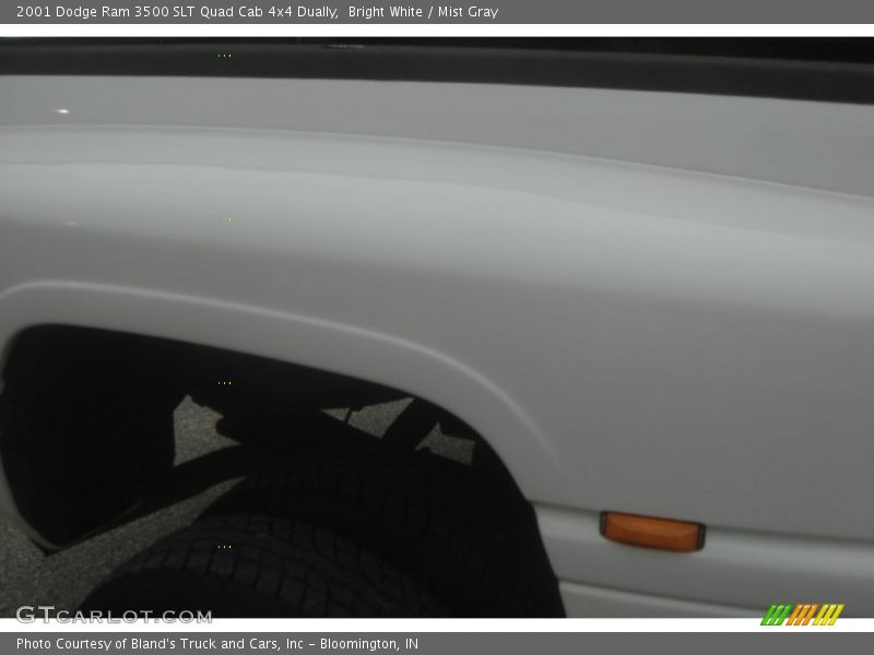 Bright White / Mist Gray 2001 Dodge Ram 3500 SLT Quad Cab 4x4 Dually