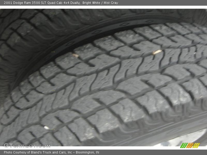 Bright White / Mist Gray 2001 Dodge Ram 3500 SLT Quad Cab 4x4 Dually