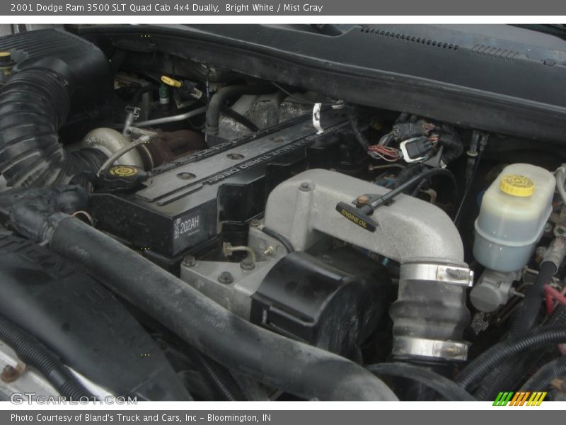 Bright White / Mist Gray 2001 Dodge Ram 3500 SLT Quad Cab 4x4 Dually