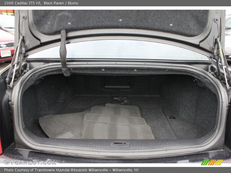 Black Raven / Ebony 2006 Cadillac STS V6