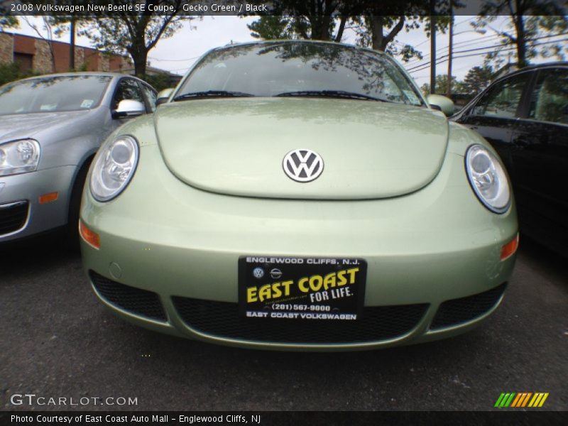 Gecko Green / Black 2008 Volkswagen New Beetle SE Coupe